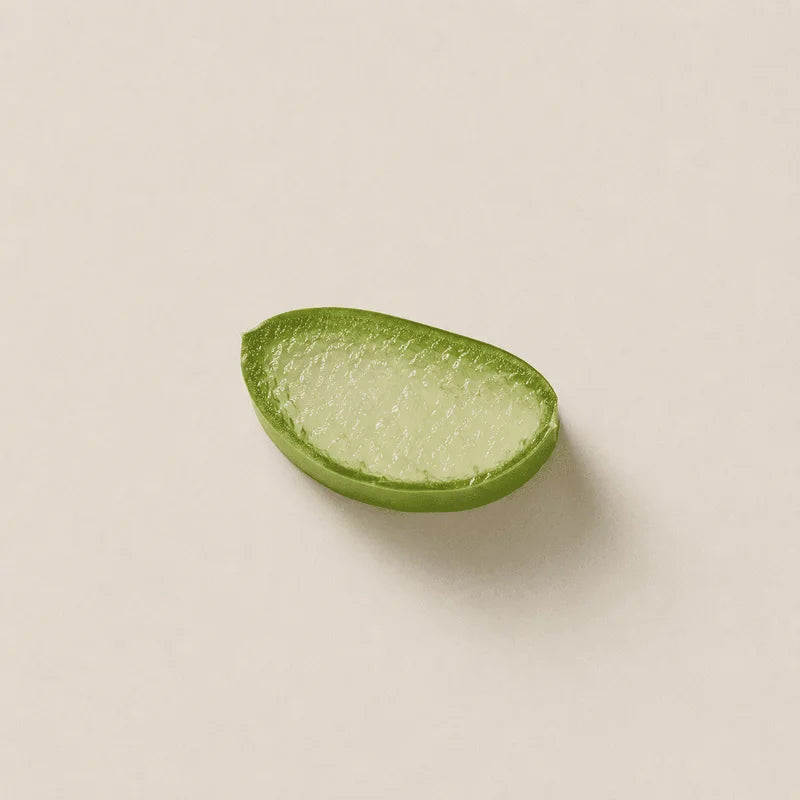 Aloe vera