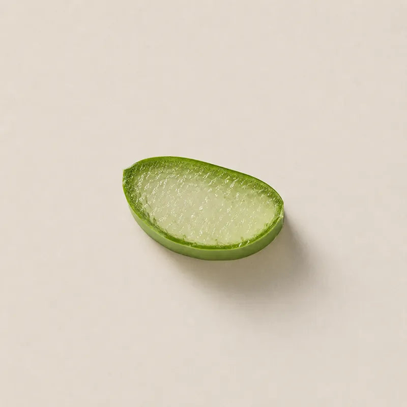 Aloe vera